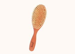 brosse_plate_poirier
