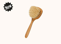 AE775-Brosse_sauna_massage_à_sec_FSC_small